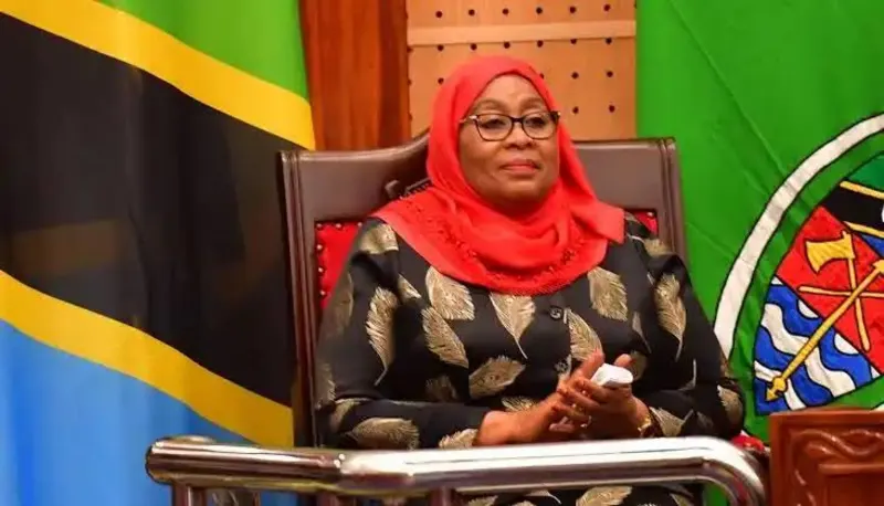 Tanzania Bans Use of Foreign Currency in Domestic Transactions