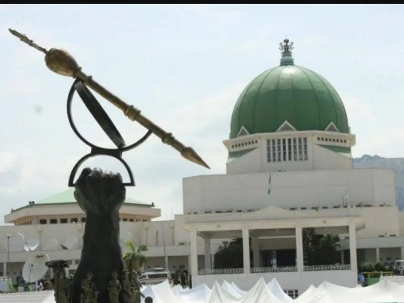 Nigeria's House of Representatives Rejects Compulsory Voting Bill Amid Widespread Criticism